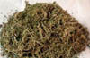 Attempting to sell ganja 5 in police net